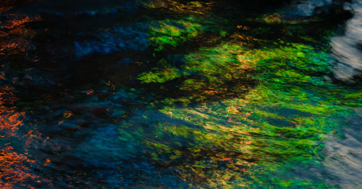 Colorful reflections on water creating an abstract and vibrant visual display.