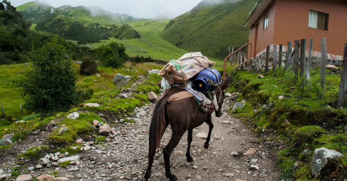 A brown horse carrying freight along a rocky trail in a green mountainous area, beside a rustic building.