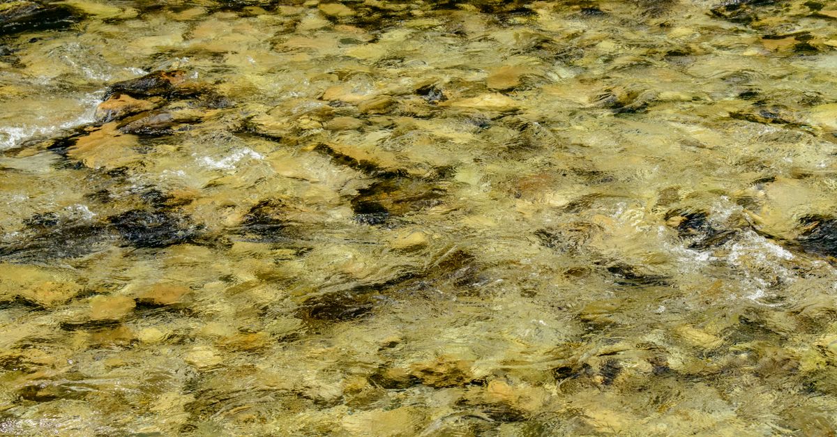 A clear riverbed with flowing water over rocks, showcasing natural patterns and tranquility.