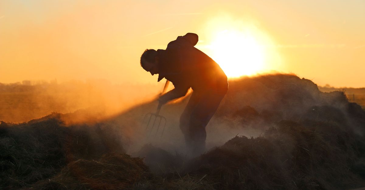 A silhouette of a farmer tending to hay during sunrise in Lisse, Netherlands.