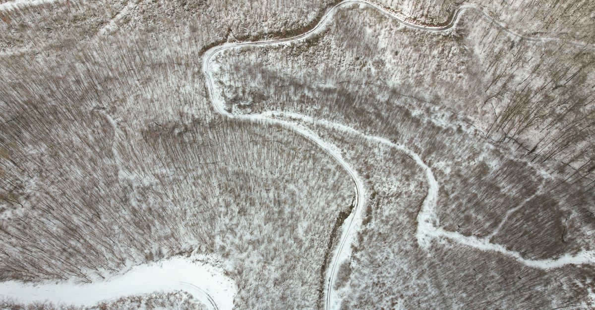 Aerial view of snowy forest in Daruvar, Croatia, showcasing winding paths and natural beauty.