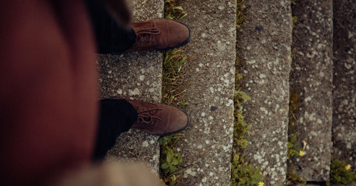 Brown shoes on mossy stone steps, viewed from above with surrounding greenery.