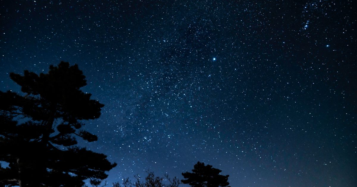 A breathtaking view of the star-filled night sky above silhouetted trees in Huangshan, China.