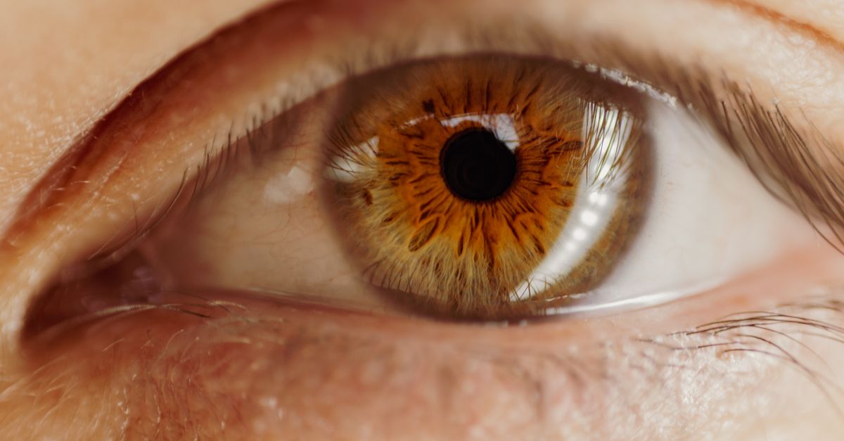 Detailed close-up of a brown human eye, highlighting the iris and eyelashes.