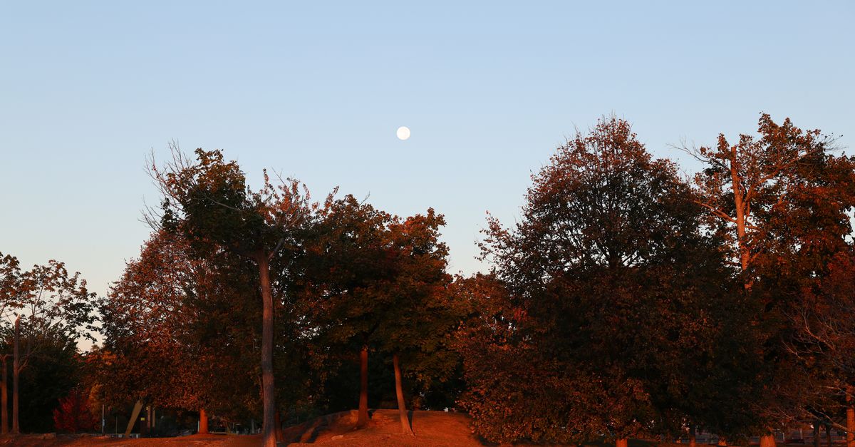 Scenic view of Cove Island Park at dawn with autumn foliage and moon in the sky.