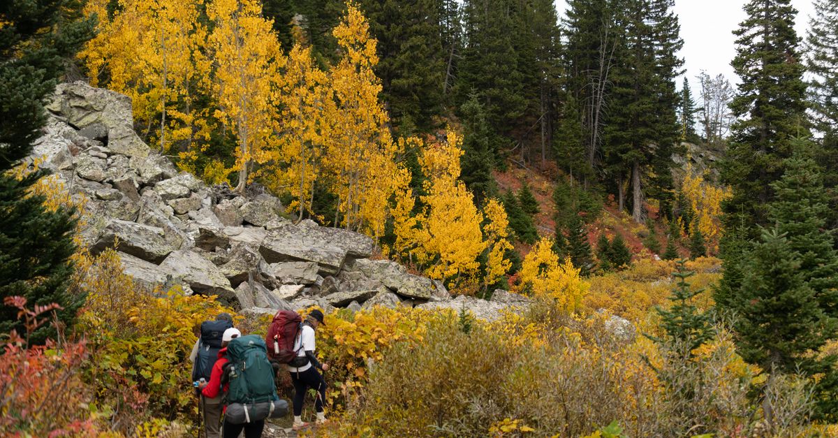 Hikers explore the vibrant autumn landscape of Grand Teton National Park, Wyoming.