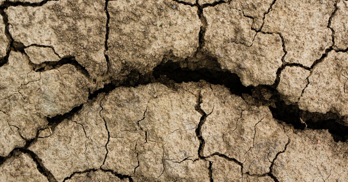 Close-up of cracked earth highlighting drought and climate change in Chitrashali, India.