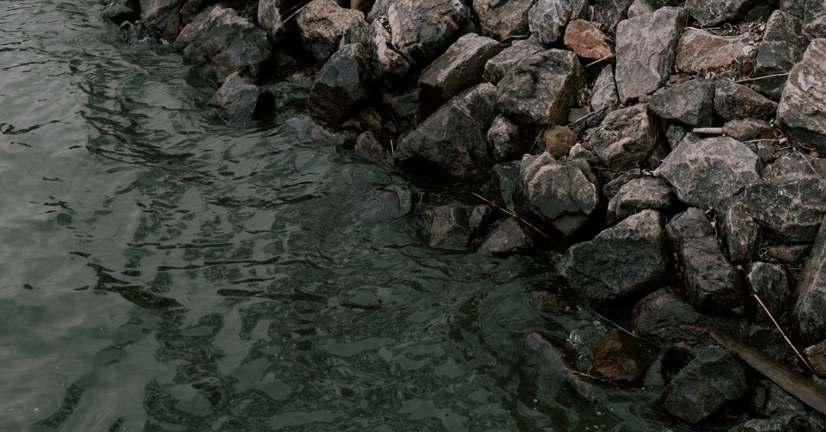 Serene rocky shoreline with calm rippling water, capturing nature's tranquility.