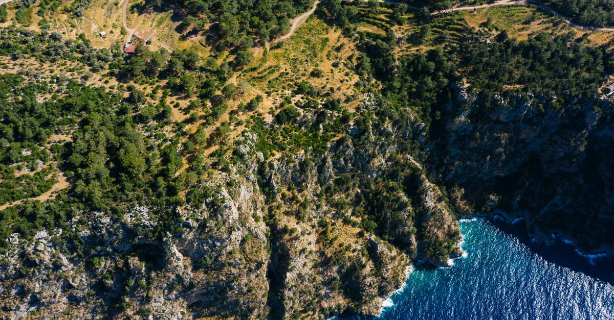 Breathtaking drone shot of a forested cliff by the sea, showcasing natural beauty.