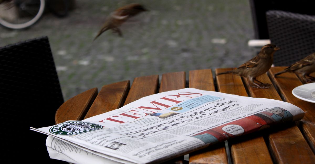 A newspaper on a cafe table with sparrows nearby, creating a lively street scene.
